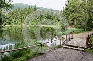 Lake in forest. Tarn Vrbicke pleso, Slovakia