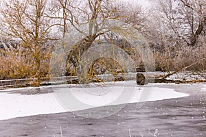 A lake frozen over with ice and snow with grasses and trees on the shore