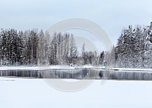 Lake and frozen trees at winter