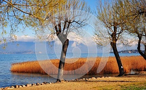 Lake Garda Coast in Italy .