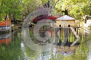 Lake in the garden of the Infante Don Pedro Park in Aveiro, Portugal