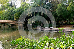 Lake of the garden park Infante Don Pedro, Aveiro. Portugal