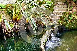 Lake of the garden park Infante Don Pedro, Aveiro. Portugal