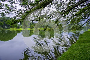 Lake Garden, Taiping