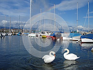 Lake of Geneva