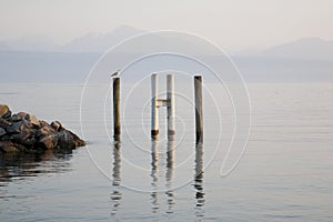 Lake Geneva, Lausanne, Switzerland