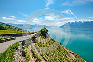 Lake Geneva and a panoramic view on the alps, Switzerland