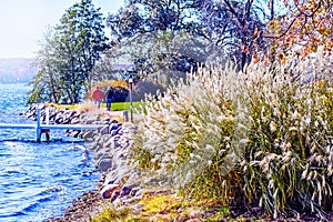 Lake Geneva, Wisconsin Shoreline, Autumn