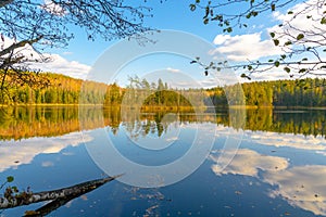 The lake Glubelka in the forest. Belarus