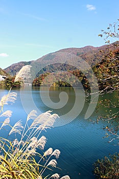 lake Gokayama landscape Japan