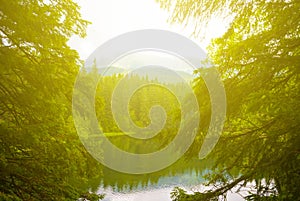 lake among green mountain valley in light of sun