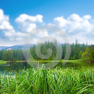 lake among green mountain valley at summer day