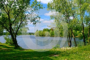 Lake and green trees