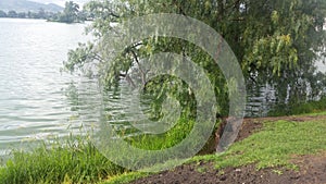 Lake in growth by rains state of mexico photo