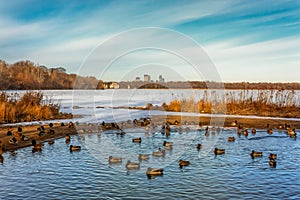 Lake Harriet in Minneapolis Minnesota