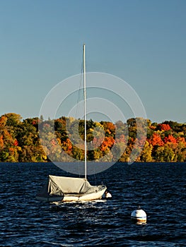Lake Harriet Sail Boat against Colorful Autumn Foliage