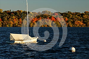 Lake Harriet Sail Boat against Colorful Autumn Foliage