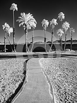 Lake Havasu beach, infrared