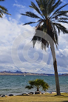 Lake Havasu Scenery