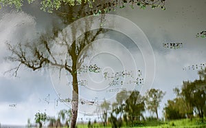 A lake having reflection of trees and sky