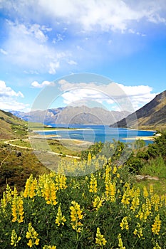 Lake hawea New Zealand