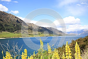 Lake hawea New Zealand