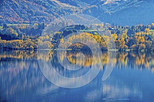 The lake Hayes with colourful trees