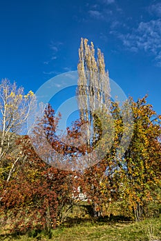 The lake Hayes with colourful trees