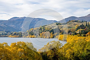 Lake Hayes located in the south Island, New Zealand.