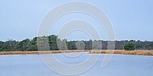 Lake, heat and forest in the flemish countryside