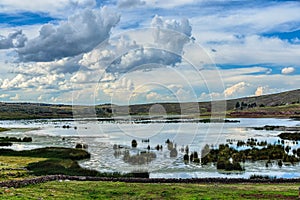 Lake on highland with green reed under white and grey clouds