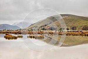 Lake, Hills and Farmland New Zealand