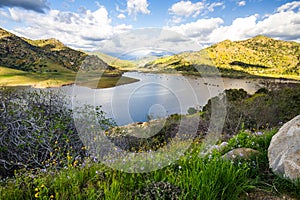 Lake, hills and wild flowers landscape