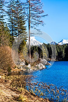 Lake Hintersee in Germany, Bavaria, Ramsau National Park in the Alps. Beautiful winter landscape in amazing sunset light