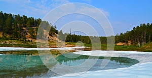 Lake with ice and green forest