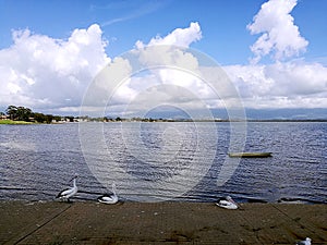 Lake Illawarra @ Oak Flats