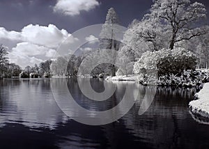 Lake infrared