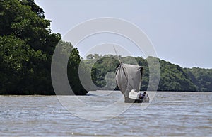 Lake at Isla De Salamanca, Colombia photo