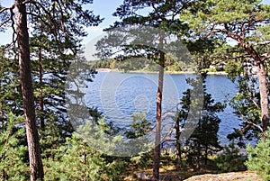 Lake of an island in Stockholm Archipelago, on a beautiful sunny summer day in Sweden photo
