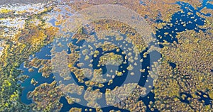 Lake with islands at swamp Yelnya, Belarus