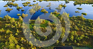 Lake with islands at swamp Yelnya, Belarus