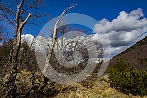 The lake in its beautiful colors