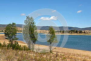 Lake Jindabyne, Australia with trees in the foreground