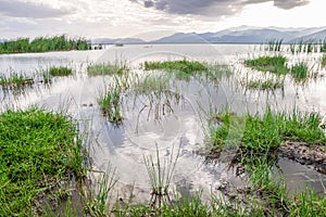 Lake Jipe at the border of Kenya and Tanzania