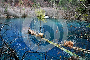 Lake at Jiuzhaigou with colorful tress and blue water