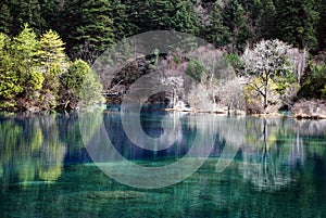 Lake at Jiuzhaigou with colorful tress and blue water