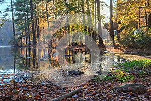 Lake Johnson Raleigh, NC