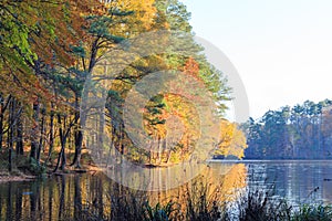 Lake Johnson in Raleigh, NC during fall season photo