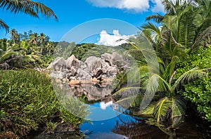 Lake in the jungle, La Digue island, Seychelles