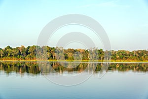 Lake and Jungle Reflection